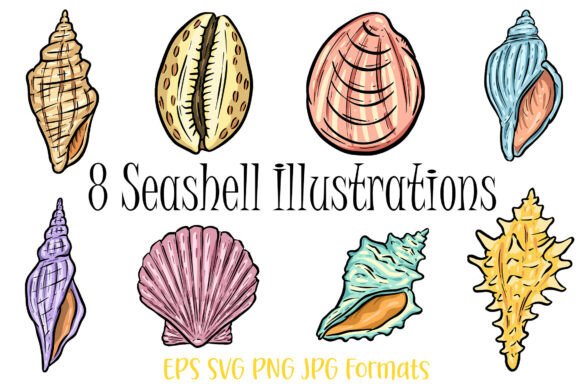 8 Seashell Vibrant Clipart Graphics & Illustrations