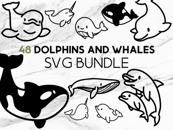Dolphins and Whales SVG Illustrations Graphics