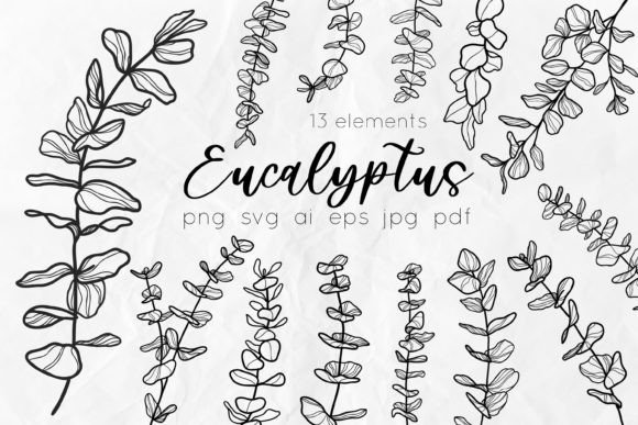 Eucalyptus Line Art SVG Illustrations Graphics Review