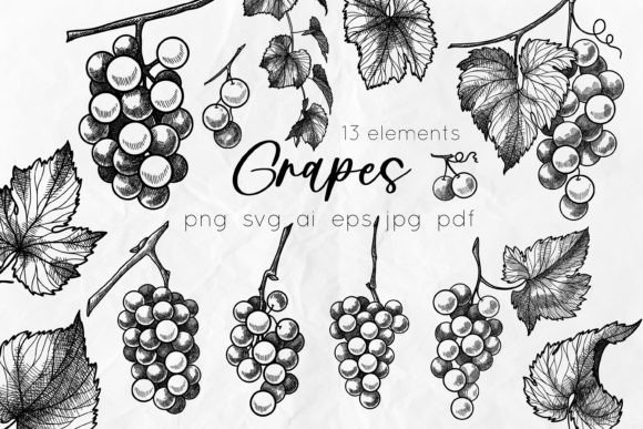 Grapes Line Art SVG Illustrations Review