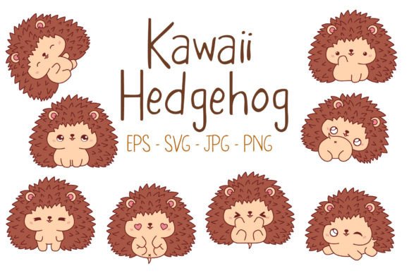Kawaii Hedgehog Set Illustrations for Graphics