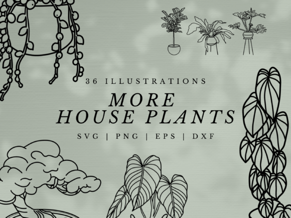 More House Plants SVG Illustrations Review
