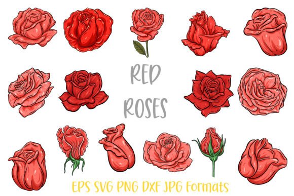 Red Rose Flower Line Art Illustrations Review