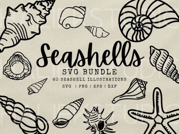 Seashell SVG Clipart: Graphics & Illustrations