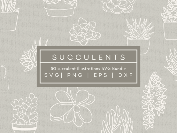 Succulent SVG Illustrations: Graphics & Design Review